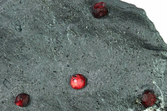 Plate of Four Red Embers Garnets in Graphite - Massachusetts #165514
